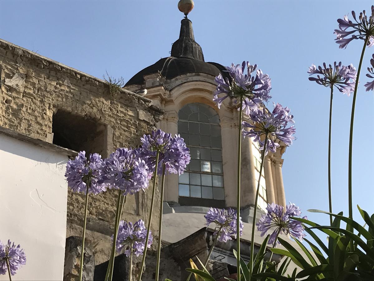 B&B La Terrazza Napoli Exterior foto